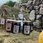 Bed & Breakfast Josanica *