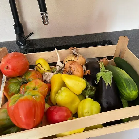 Josanica * كونييتش