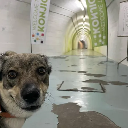 فندق مبيت وإفطار Josanica *